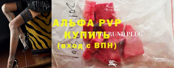 стаф Алексин