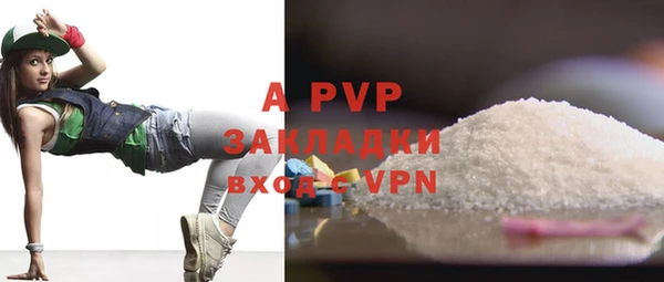 стаф Алексин