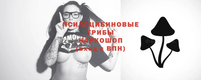 кокаин Алексеевка