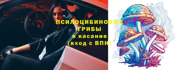 мяу мяу мука Алзамай