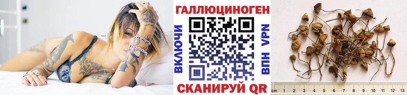 Галлюциногенные грибы Cubensis  Топки 